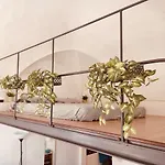 Apartmán Loft In The Center For 3 People